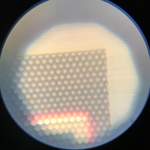 Lytro Microlens Array